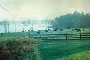 Woodward Point