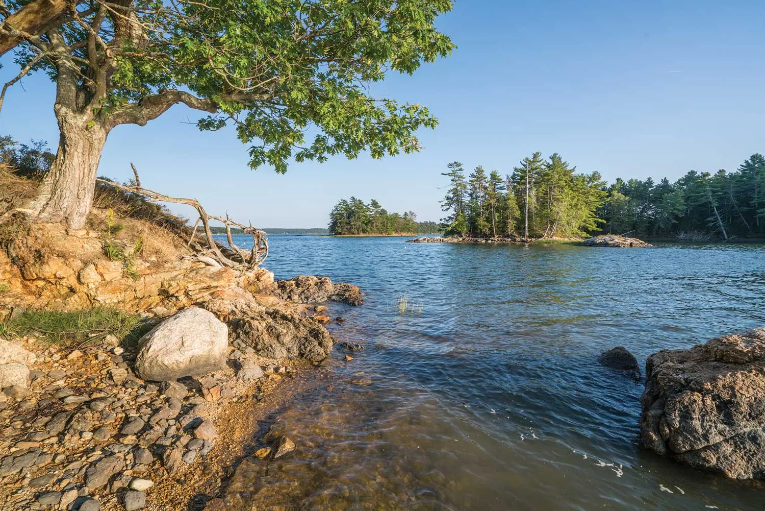Maine Coast Heritage Trust