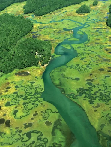 kdb’s Wilderland project grew to include aerial surveys of the region, which contains more than 20 percent of Maine’s tidal marshes.