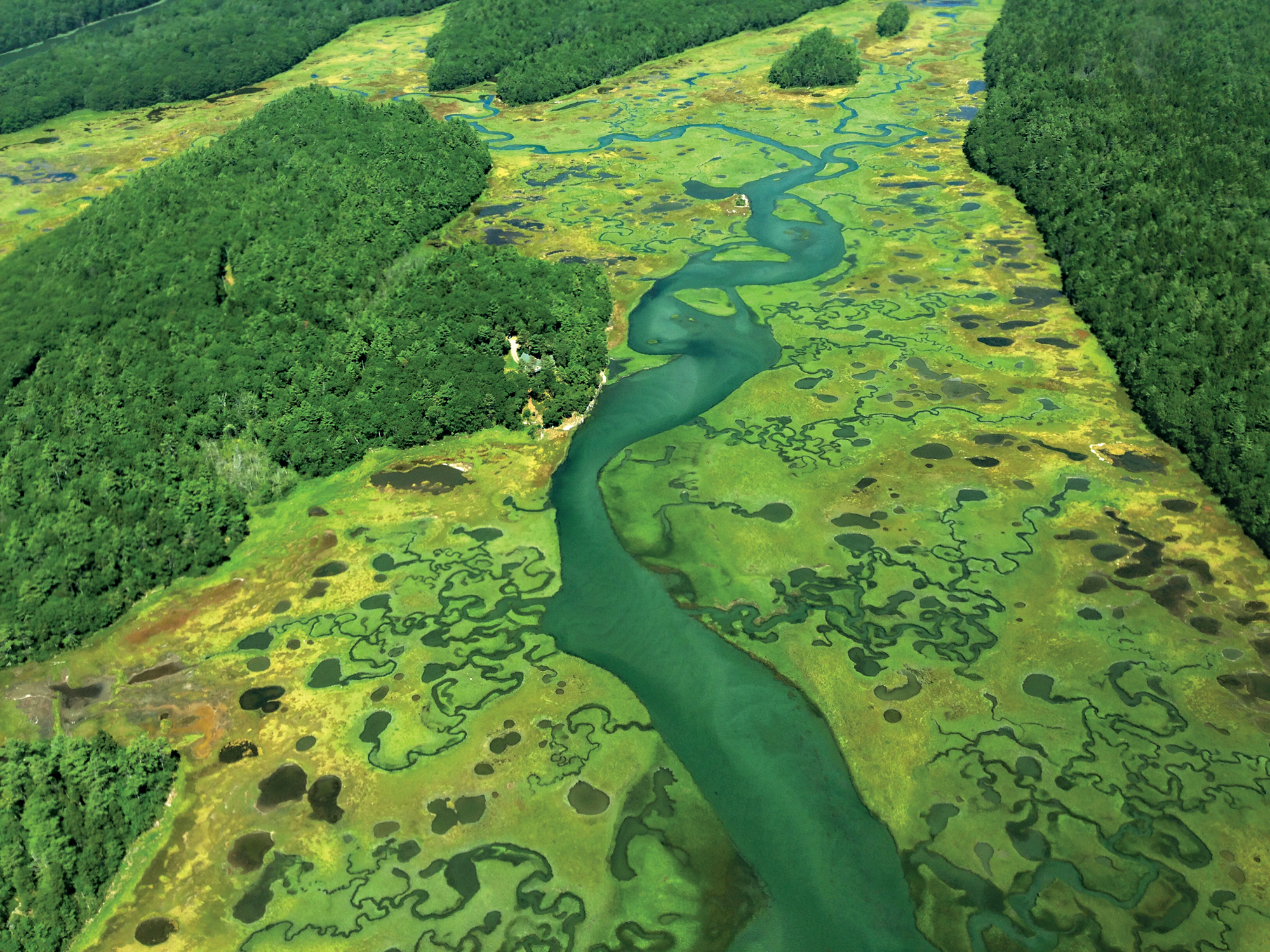 kdb’s Wilderland project grew to include aerial surveys of the region, which contains more than 20 percent of Maine’s tidal marshes.