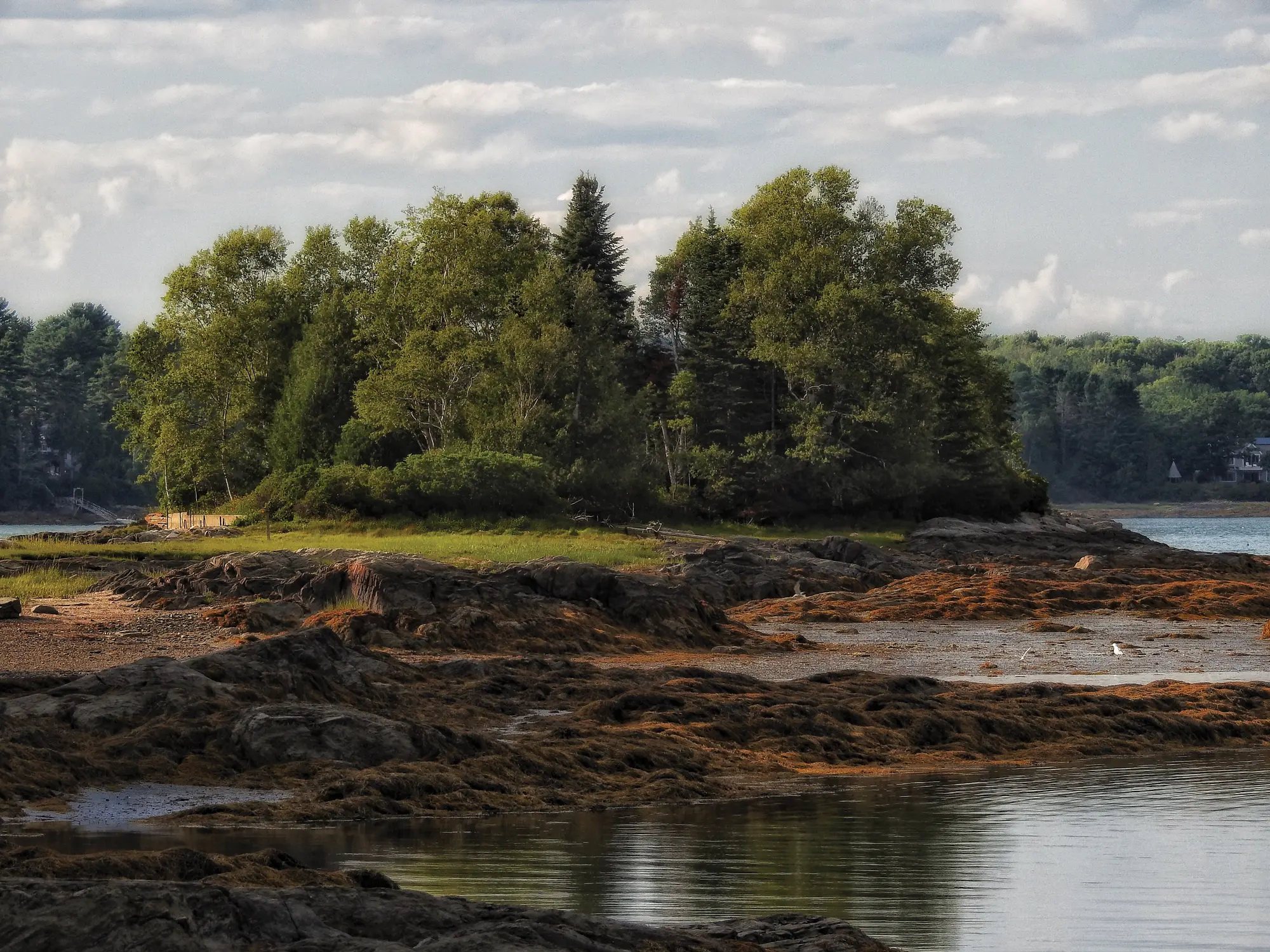 Artist in Wilderland In its later years, kdb’s project occasionally mission-creeped into adjacent watersheds. This low-tide shot was taken near Bowdoin College’s Schiller Coastal Studies Center, in Harpswell, where researchers examine the effects of climate change on coastal ecosystems.