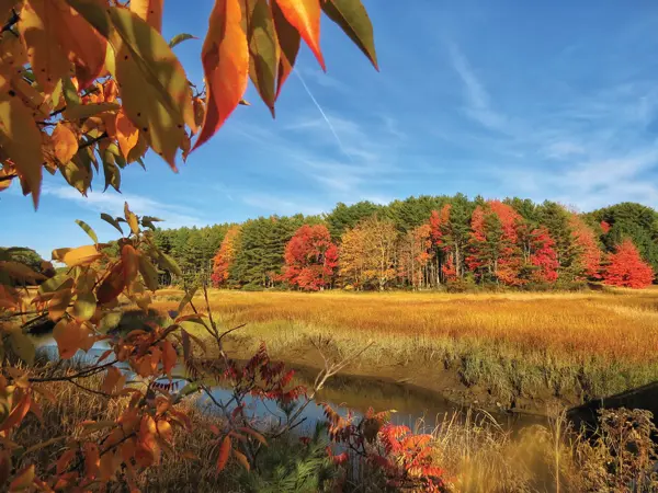 Fall color on Cutting Creek, in Phippsburg