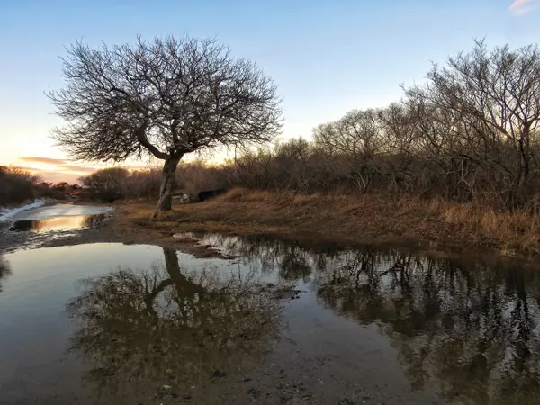 Phippsburg’s Hermit Island, beloved by campers in summer, feels lonely in the shoulder seasons. “From October through March or April, the only person I see out there is me,” kdb says. “It’s like I’m the hermit. It’s such a gift.”