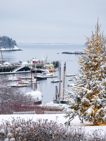 Where in Maine?
