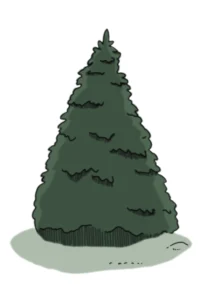 Whoa Tannenbaum! Whoa Tannenbaum!