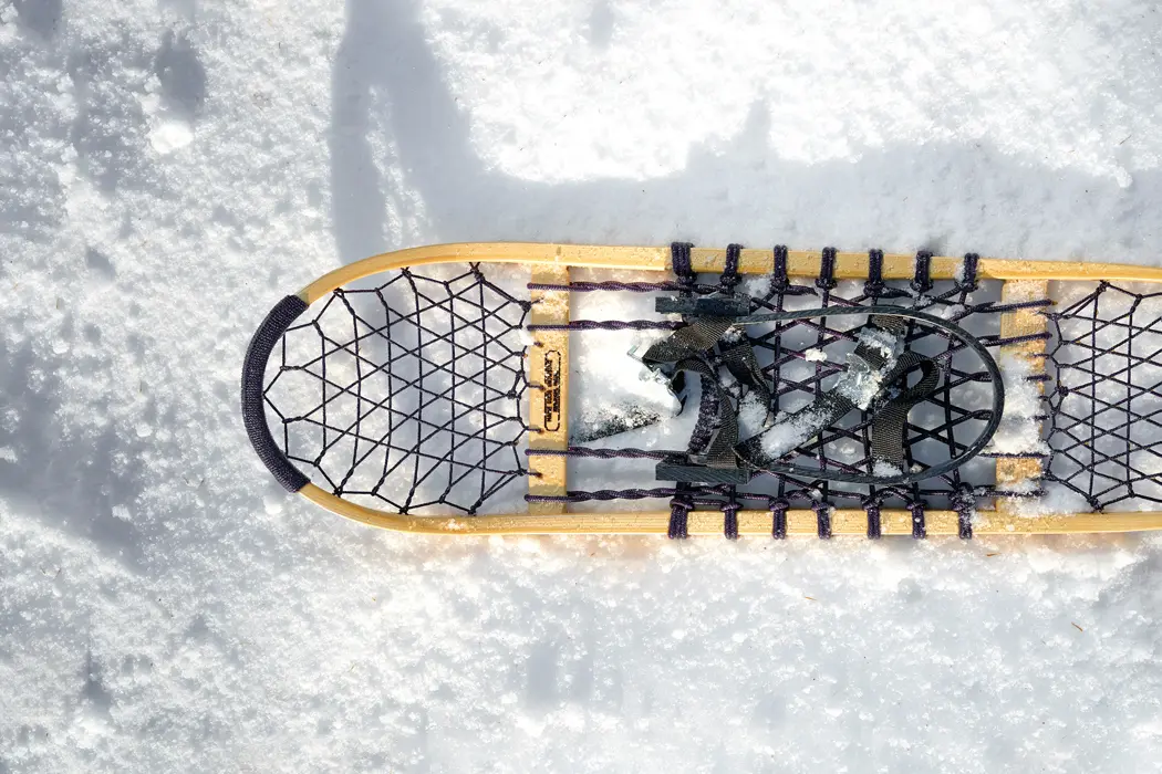 Snowshoe