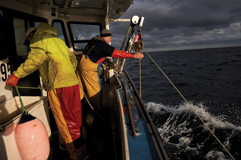 Richie Walker grabs a trawl line fastened to lobster traps and brings it into the boat — he’ll haul 320 traps by day’s end.