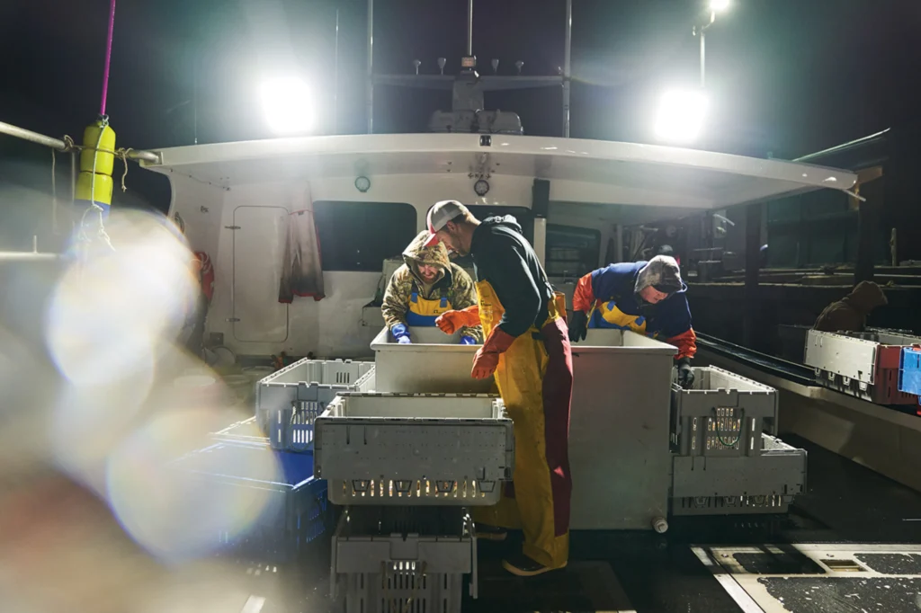 Mitchell Carney, Dylan Smith, and Richie Walker separate lobsters and crabs into 100-pound totes, which they’ll sell to a fish buyer from Boston.