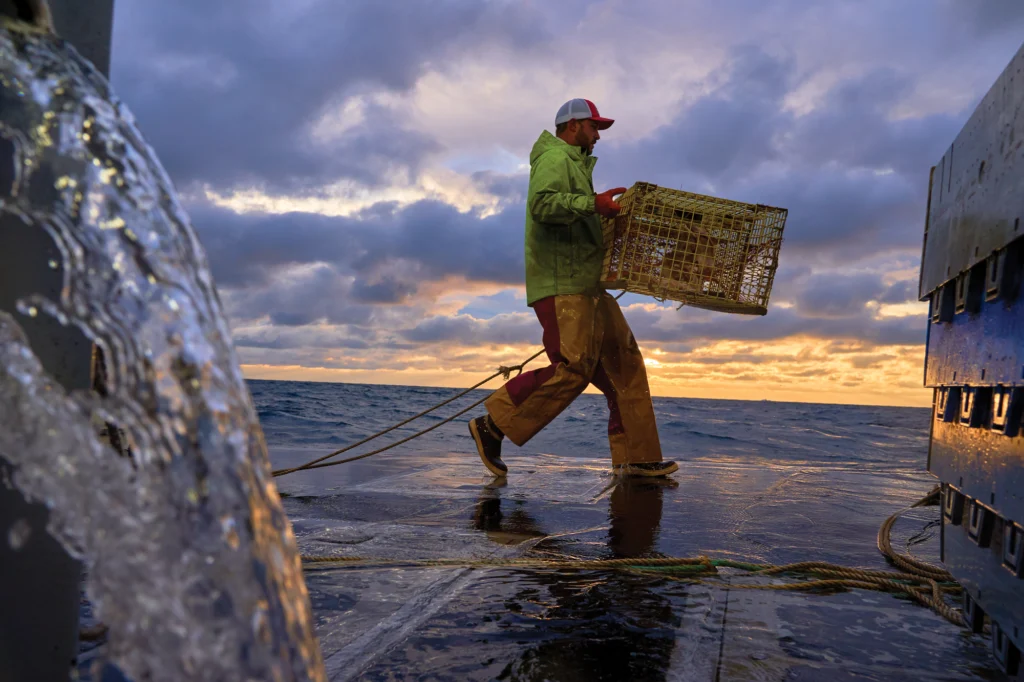 Dylan Smith carrying a baited lobster trap
