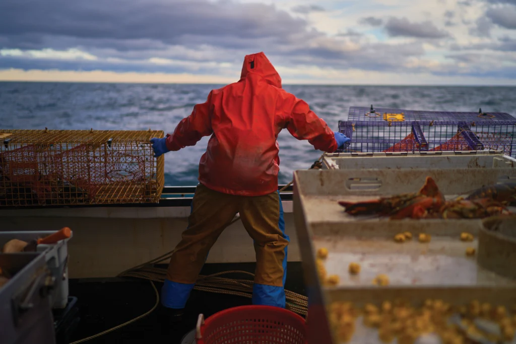 Mitchell Carney slides a lobster trap along the rail of the boat