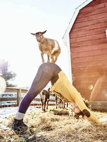 Goat Yoga