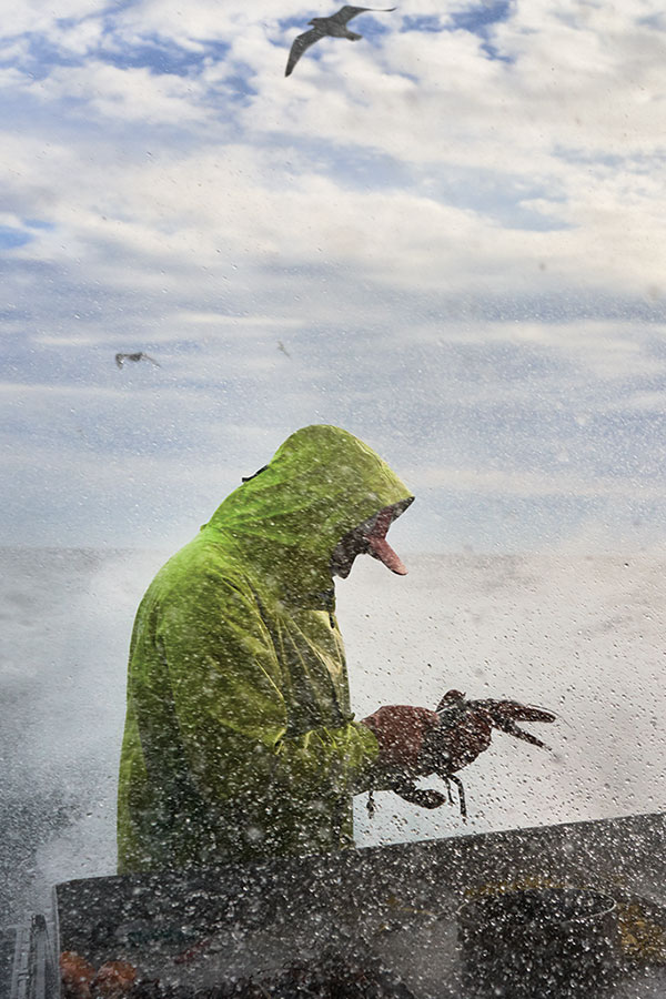 Measuring a lobster