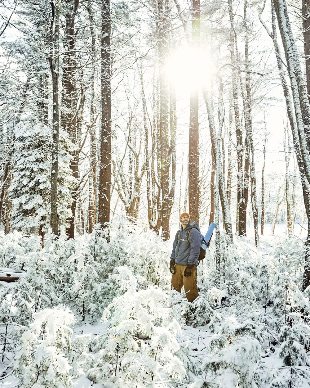 forest therapy guide Jeff Brogan,