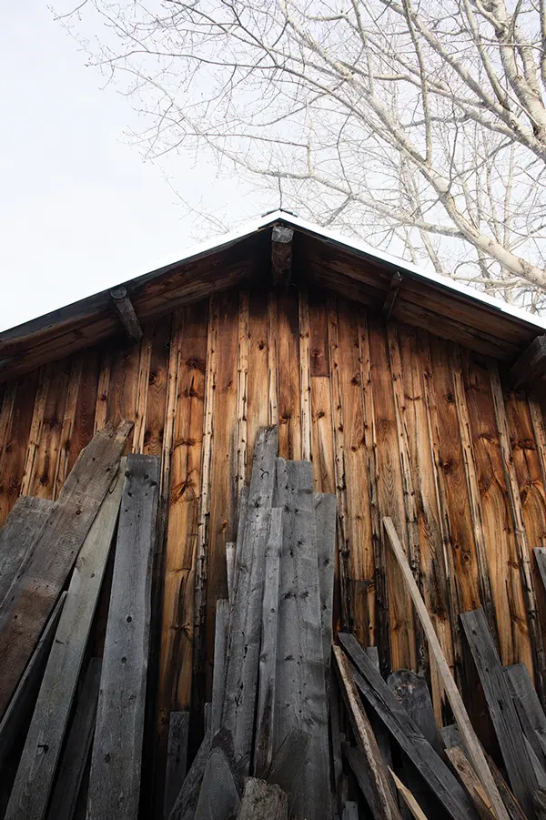 Sprig Woodwork