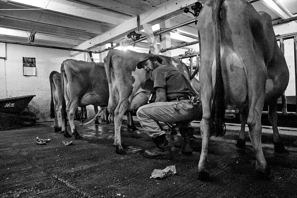 The Milkhouse