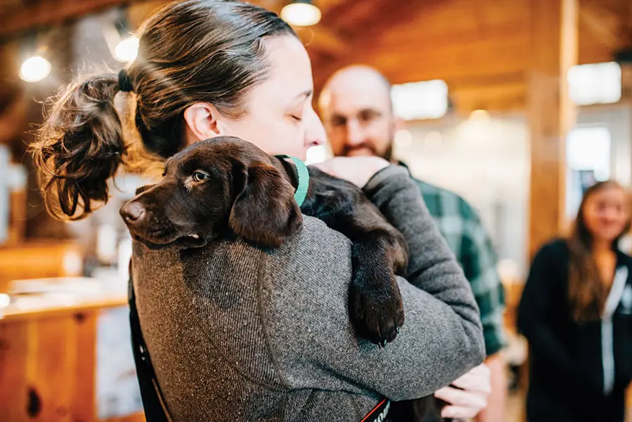 Rescue Dogs Rescue Dogs