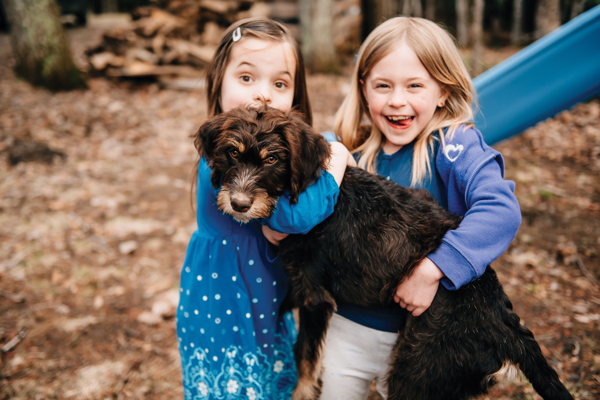 Pippi, née Tink, with her new family in Maine.