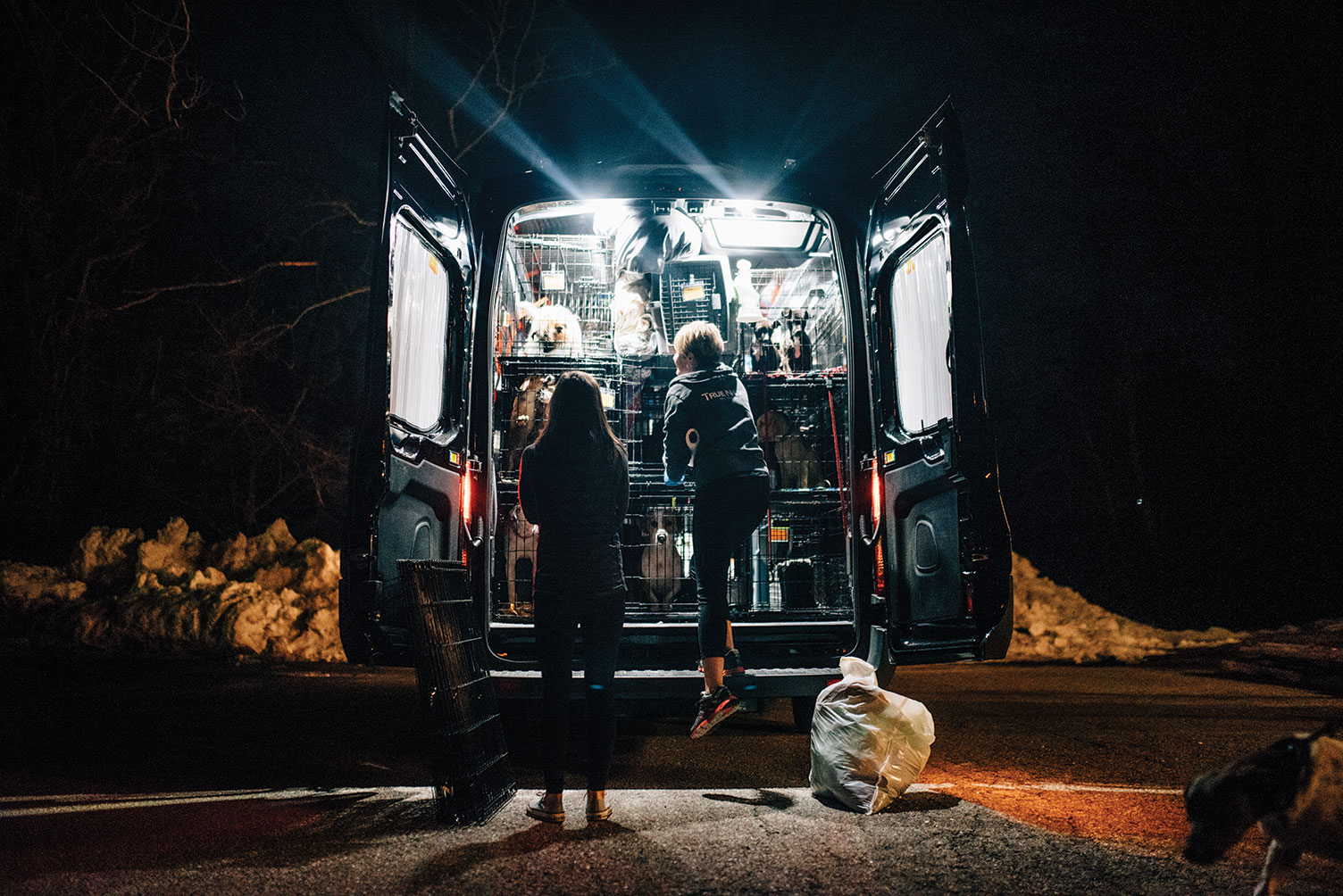 Animal transporter Heather Hobby, right, together with the author, preparing to unload dogs during a nighttime stop on their more than 1,600-mile journey from Mississippi to Maine. Animal transporter Heather Hobby, right, together with the author, preparing to unload dogs during a nighttime stop on their more than 1,600-mile journey from Mississippi to Maine.