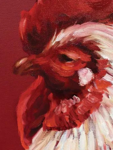 Chicken Portrait