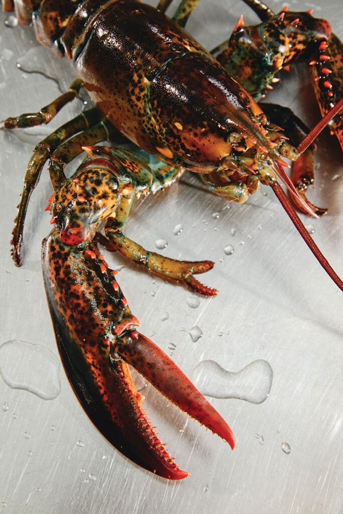 How to Cook Lobster with Cannabis - Charlotte's Legendary Lobster Pound