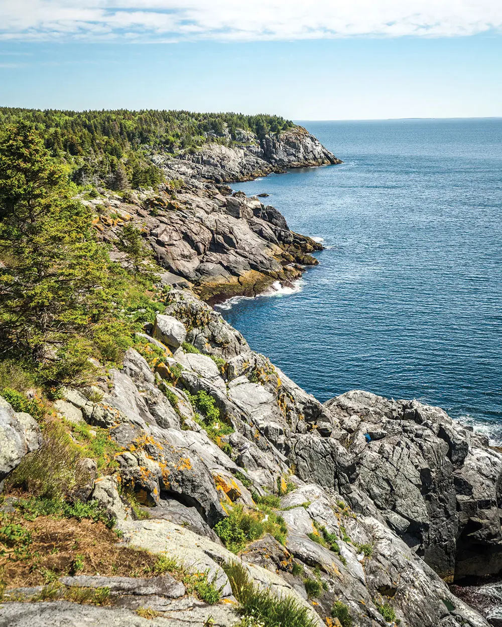 Whitehead, Monhegan, Maine Whitehead, Monhegan, Maine