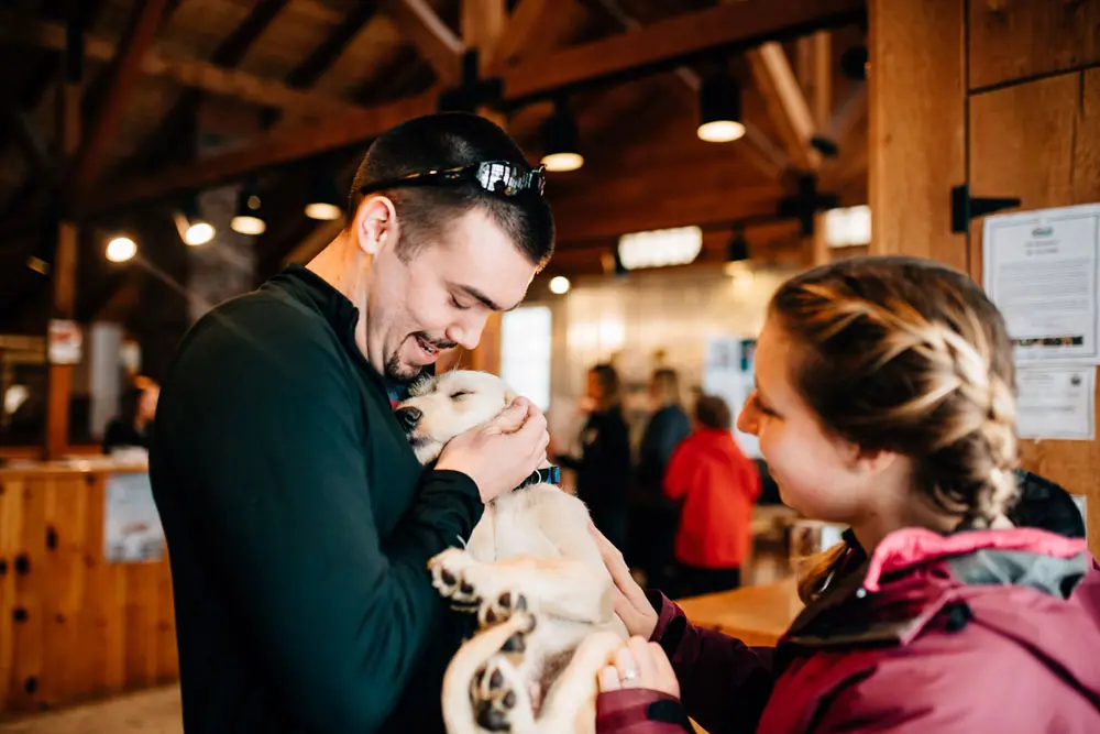Rescue Dogs Rescue Dogs