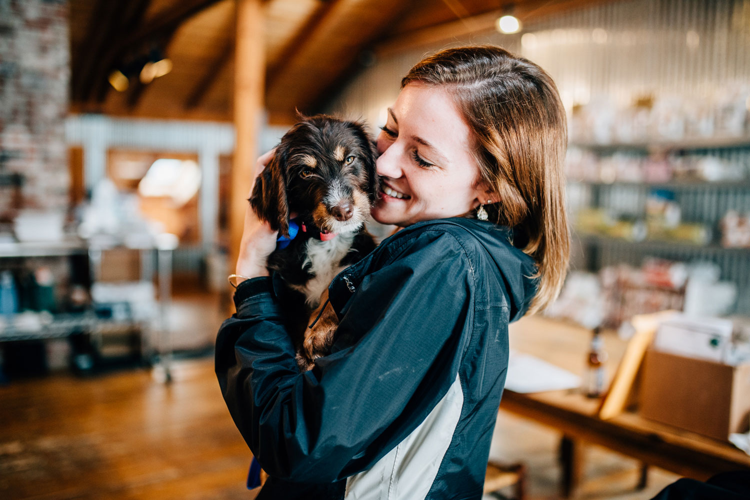 Rescue Dogs Rescue Dogs