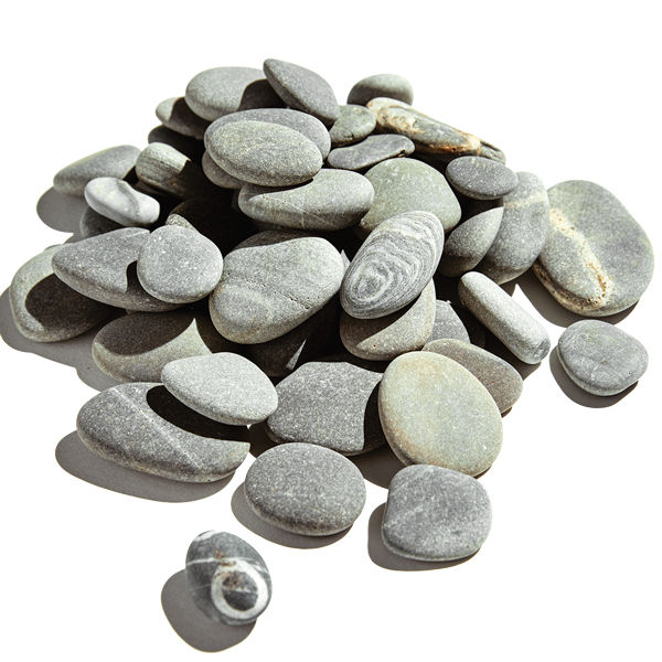Shingle Beaches