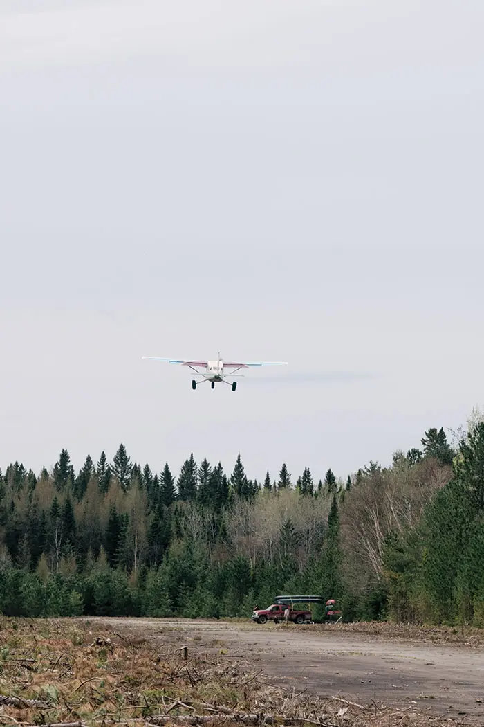 The St. John River Forest