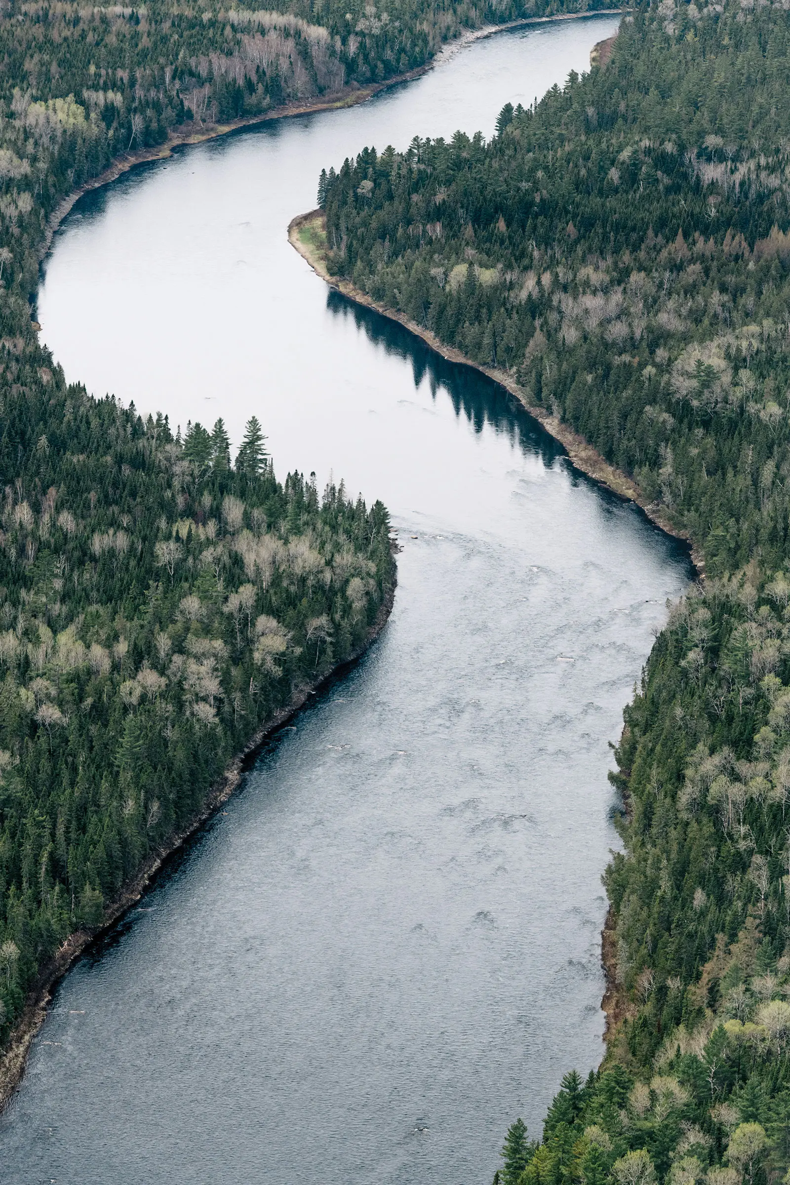 The St. John River