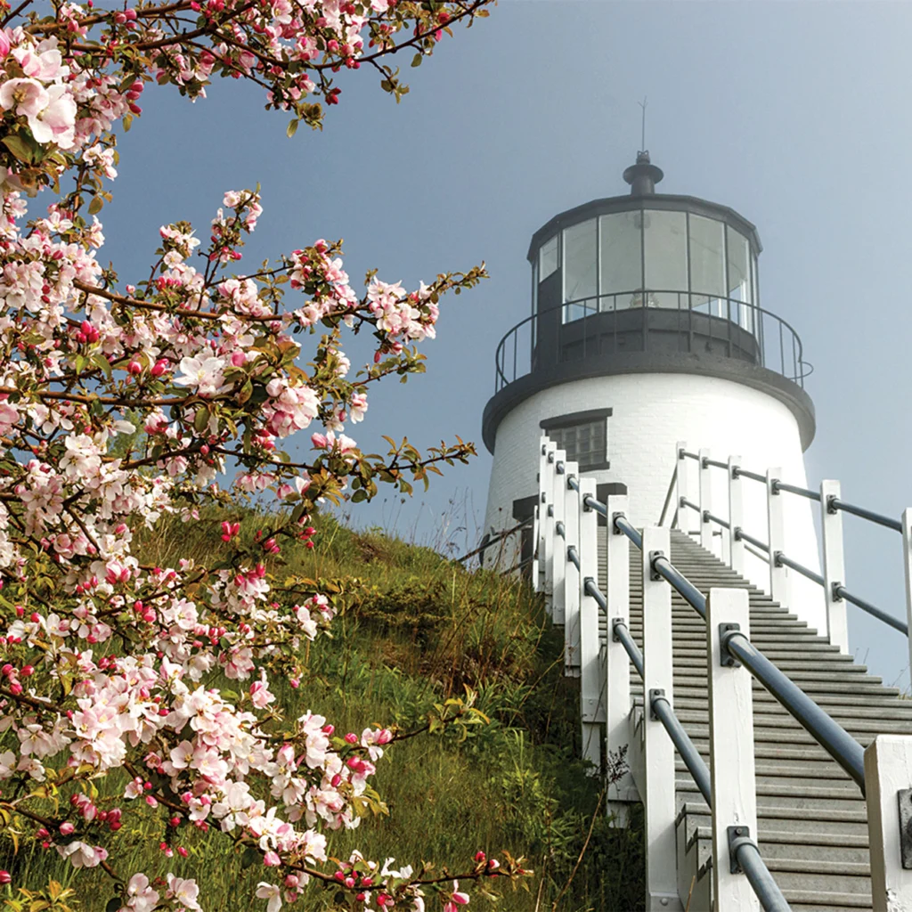 Owls Head Light
