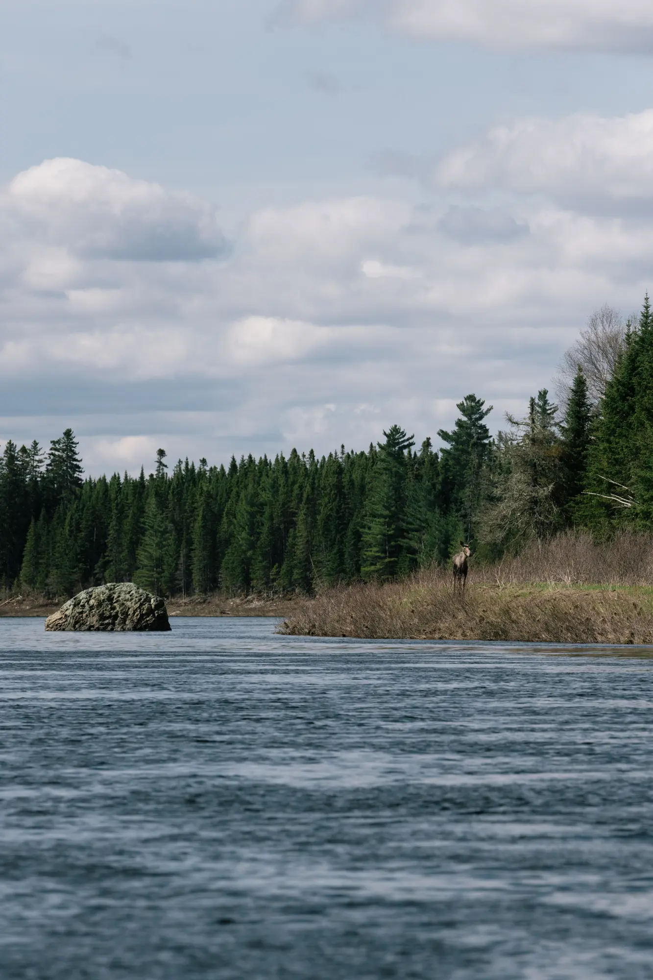 Scenes from day 2 on river.