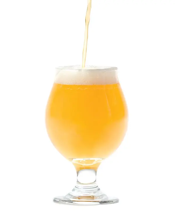 1908_beer_new spruce tip beer, Getting Tipsy