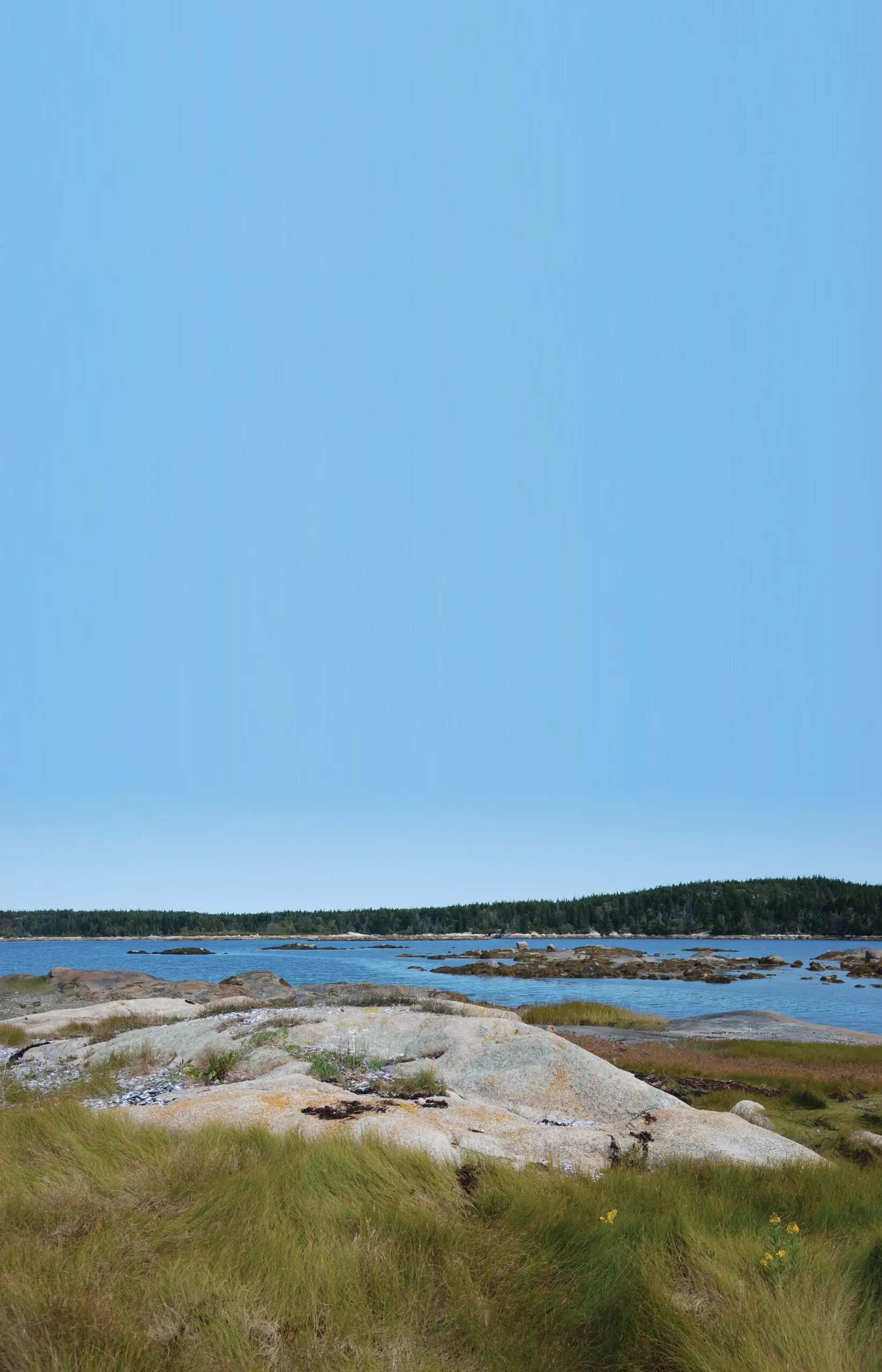 Maine Coast Heritage Trust