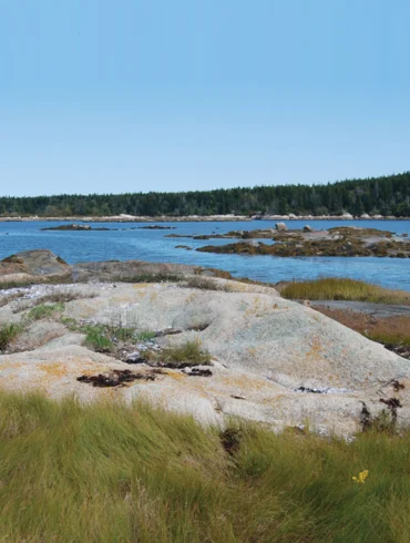 Maine Coast Heritage Trust, The Basin Preserve
