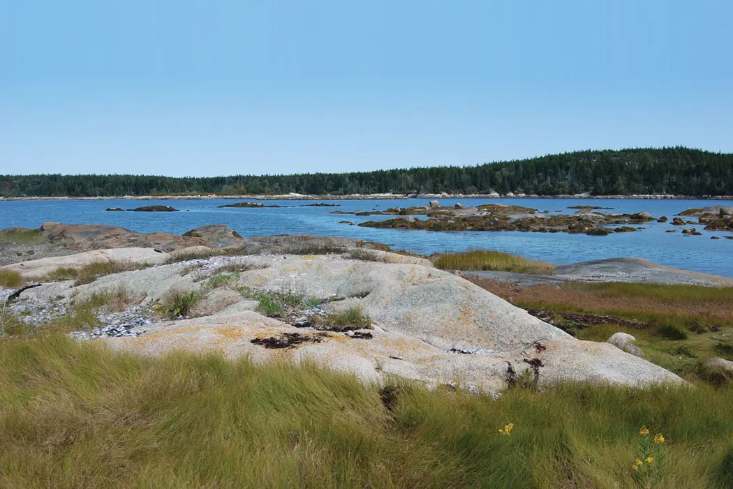 Maine Coast Heritage Trust, The Basin Preserve