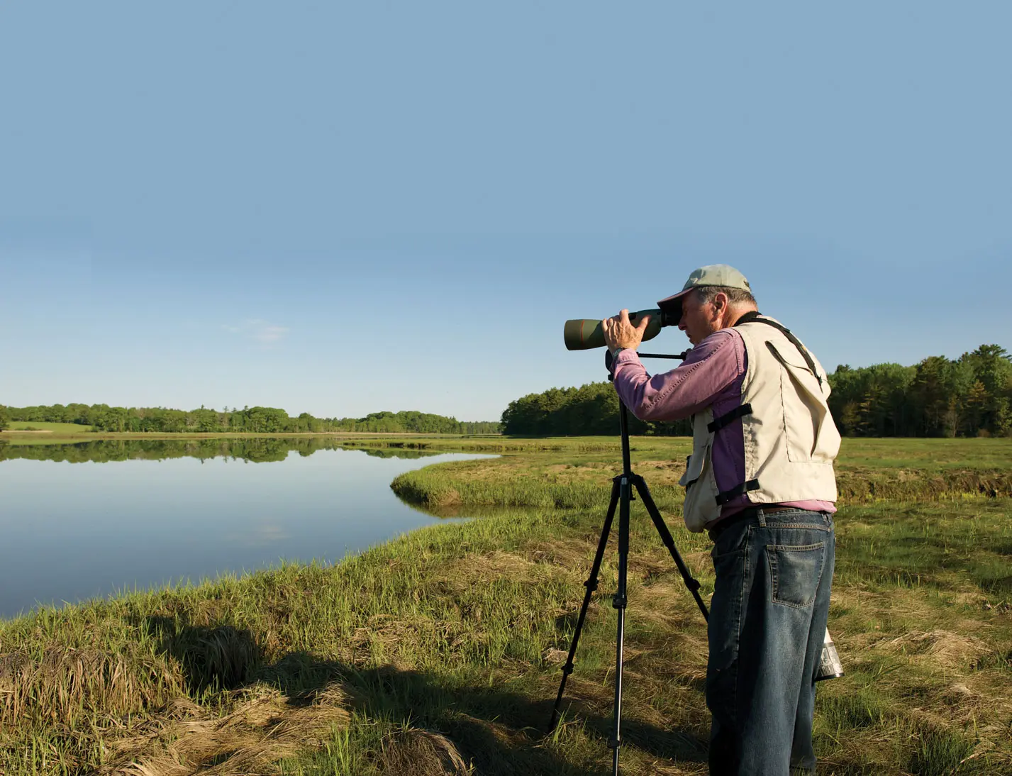 Birding at Weskeag Marsh, Thomaston