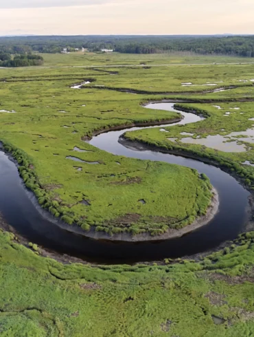 Scarborough Marsh