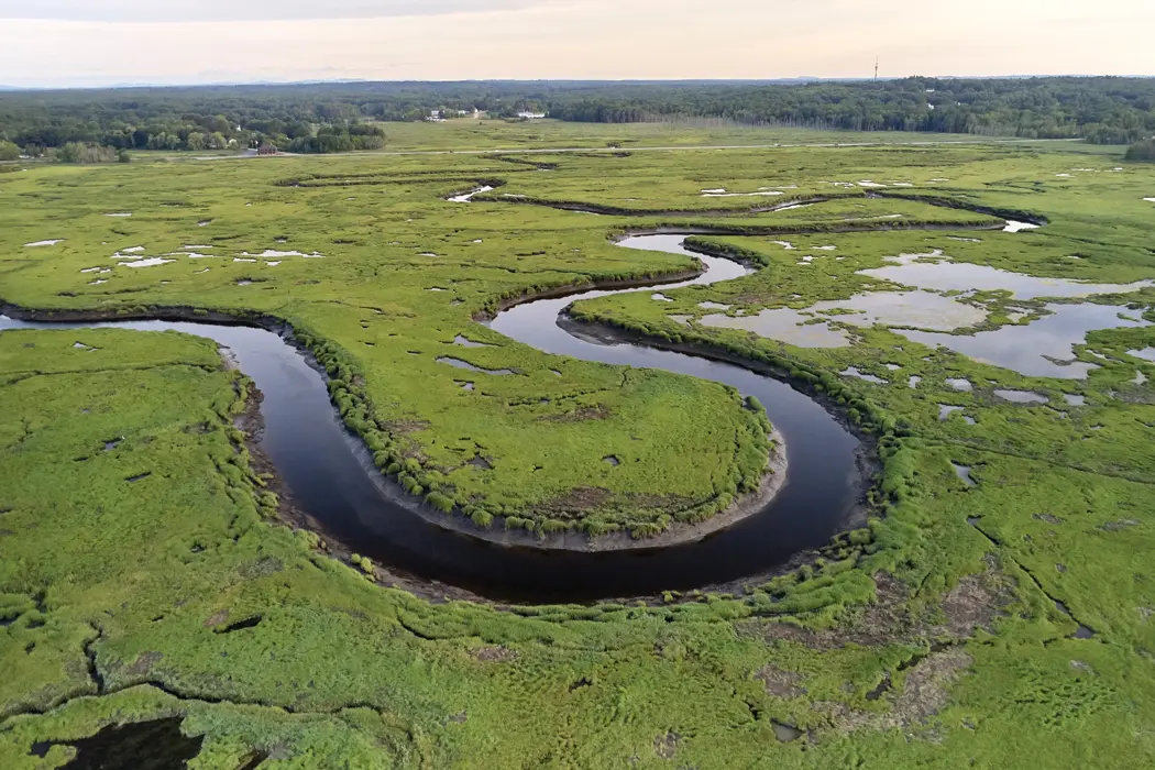 Scarborough Marsh