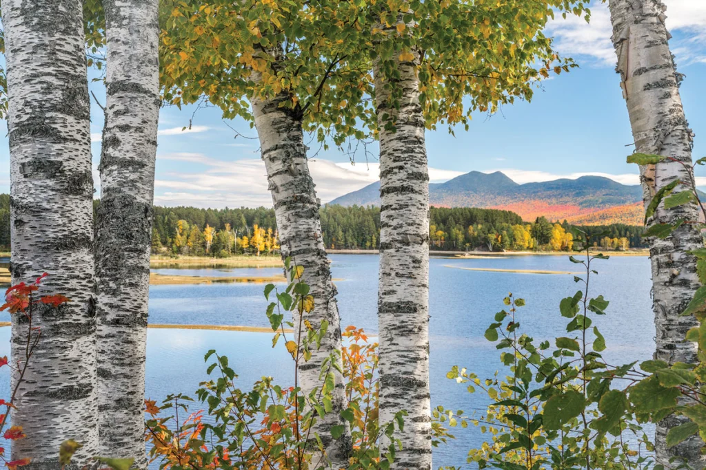 Flagstaff Lake, from Cathedral Pines Campground in Eustis
