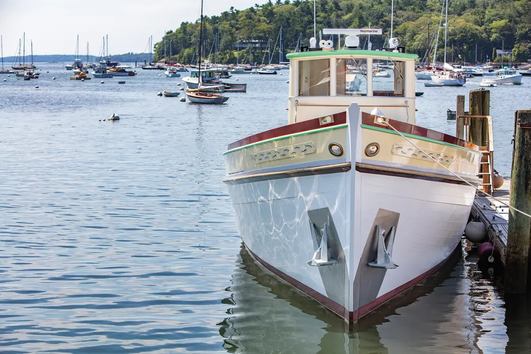 Whole Yacht of Love