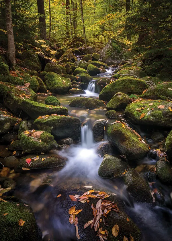 A tumbling stream in Grafton Notch State Park