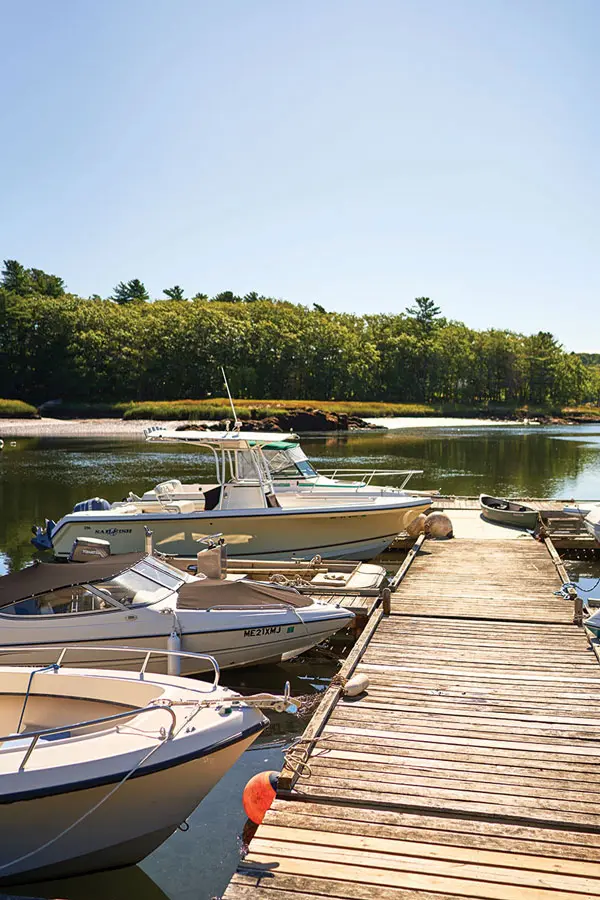 Maine Green Crabs