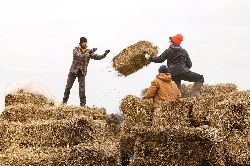Maine Nonprofits
