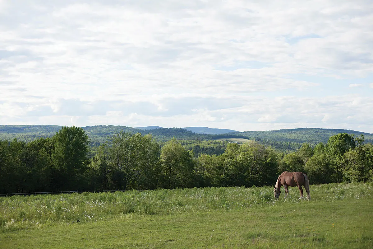 Peace Ridge Sanctuary