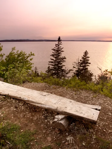 Witherle Woods, Where in Maine August 2019