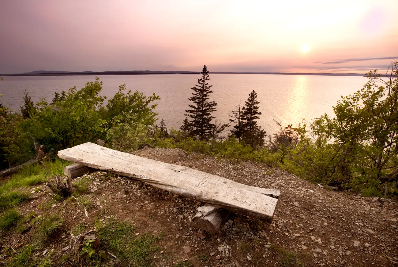 Witherle Woods, Where in Maine August 2019