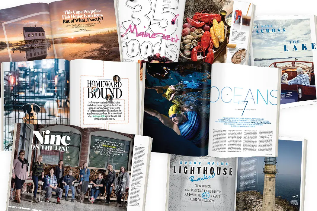 Most Read Stories of 2019