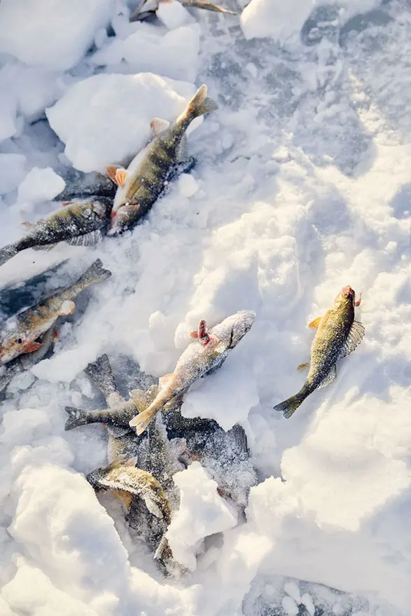 The Long Lake Ice Fishing Derby in Maine