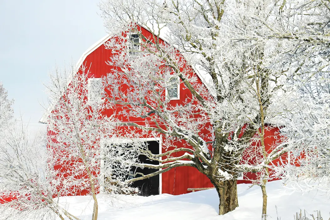 Easton, Maine